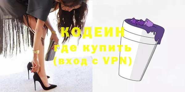дживик Туринск
