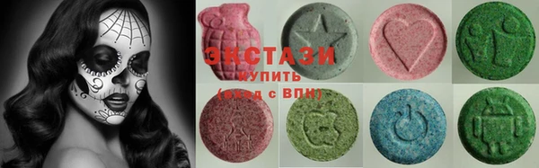 дживик Туринск