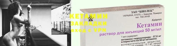 дживик Туринск
