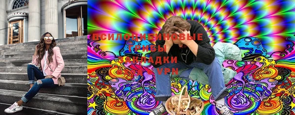 прущие крисы Зеленодольск